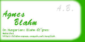 agnes blahm business card